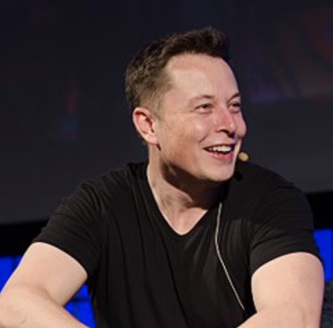 Elon Musk - Tesla co-founder